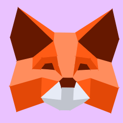 Añade tus redes en Metamask de manera segura